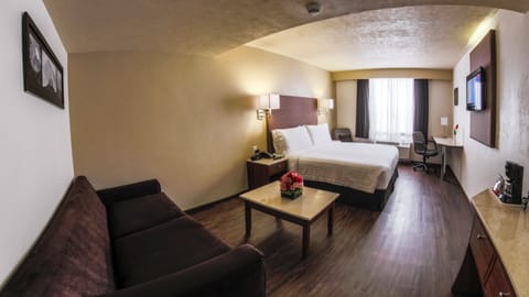 Premium Room, 1 King Bed | Premium bedding, Select Comfort beds, desk, blackout drapes