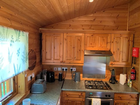 Cabin | Private kitchen | Fridge, microwave, oven, stovetop