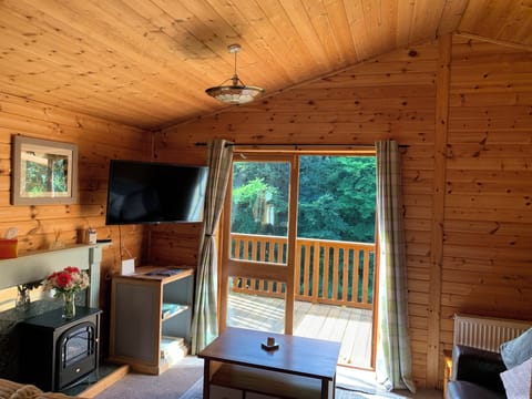 Cabin | Living area | Fireplace