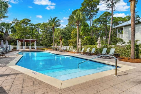 Palm-lined community pool with loungers, umbrellas, and shaded seating for sunny beach-day breaks.