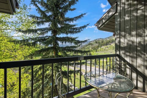 lowerborders-213-3768_54544197423_o