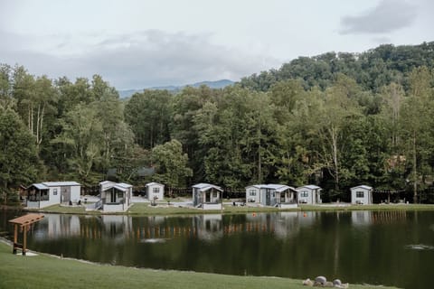 Tiny Cabin Community