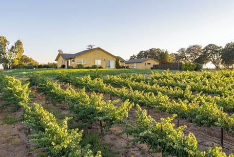 'Wild Vines' is a great retreat in Paso's wine country