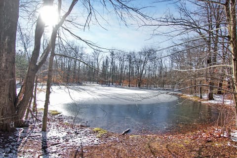 Pond View from the patio