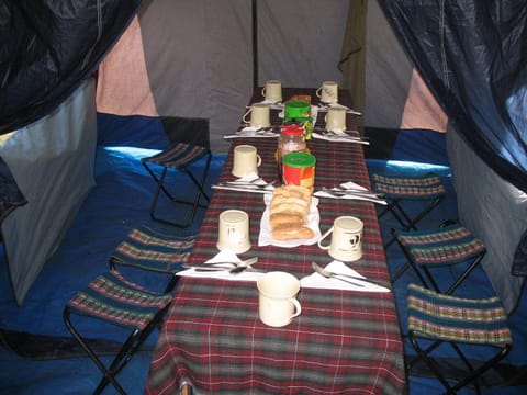 Basic Tent | In-room dining