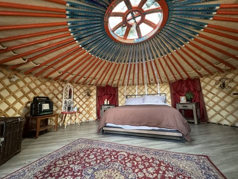Mongolian yurt with Queen size bed and propane heater. No electricity, lanterns provided.