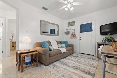 Living room with smart TV and sofa bed.