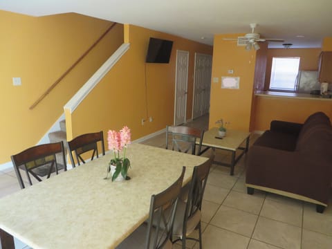 Downstairs living area.