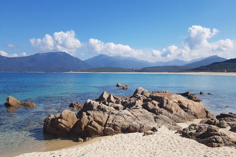 Immediate Surroundings [summer] (<1 km)