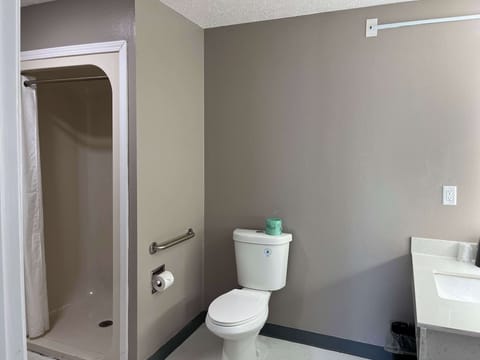 Standard Room, 1 King Bed, Non Smoking | Accessible bathroom