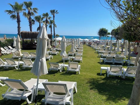 Private beach nearby, beach bar