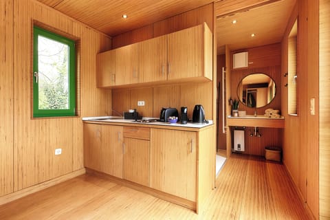 Classic Condo | Private kitchen | Mini-fridge, stovetop, electric kettle, toaster