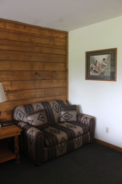 Disability Accessible Suite | Living area