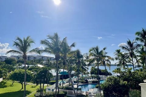 Resort Pool and Palm Tree Canopy Under Blue Sky