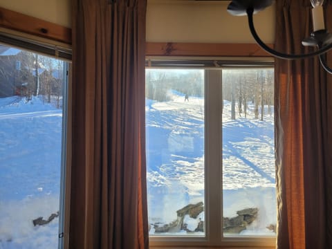 View of Grammy Jay from the dining and living area