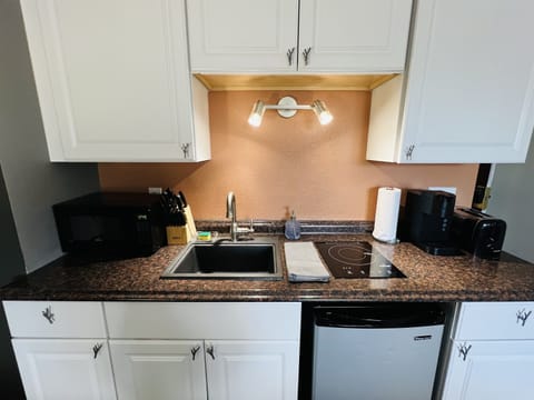 Full kitchenette with sink, microwave, fridge and induction stove top.