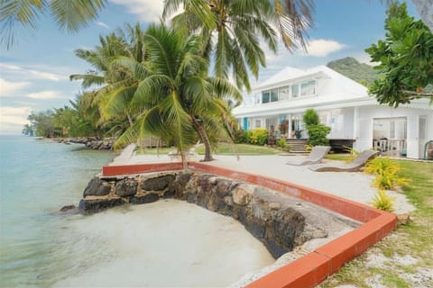 Beachfront garden with tropical landscaping.