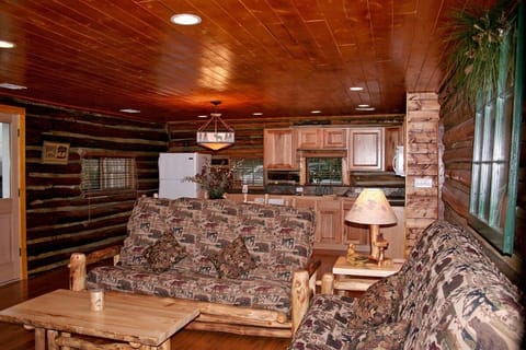 Cabin, 2 Bedrooms | Living area | DVD player