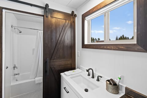 Bathroom sink separated from toilet and shower by barn style door