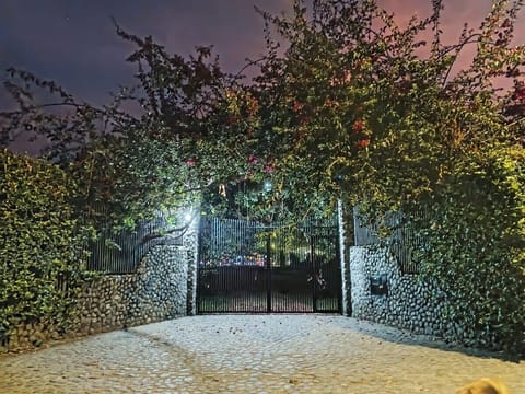 Chalet | Property grounds