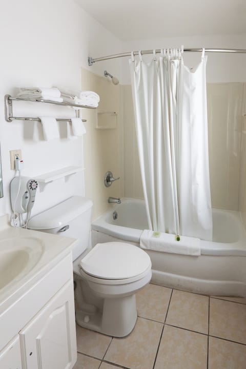 Basic Room, 1 Queen Bed, Non Smoking | Bathroom | Combined shower/tub, hair dryer, towels, soap