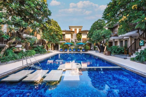 Outdoor pool, sun loungers