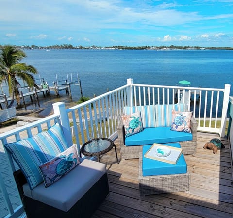 Private rooftop deck to watch Dolphin and Manatees.