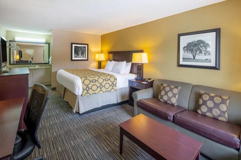 Standard Room, 1 King Bed, Non Smoking | Desk, blackout drapes, iron/ironing board, free cribs/infant beds