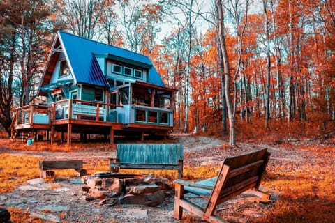 Welcome to Cleo’sCabin