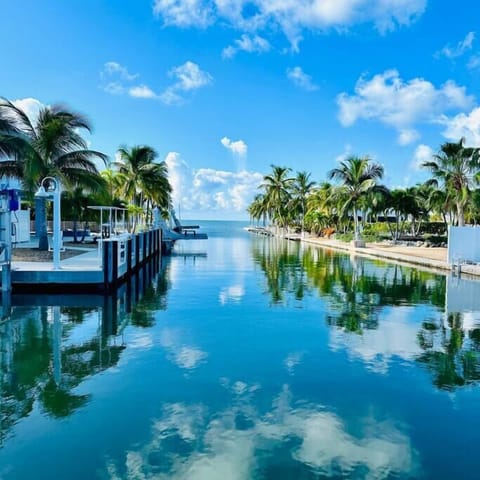 View from Tiki & Dock