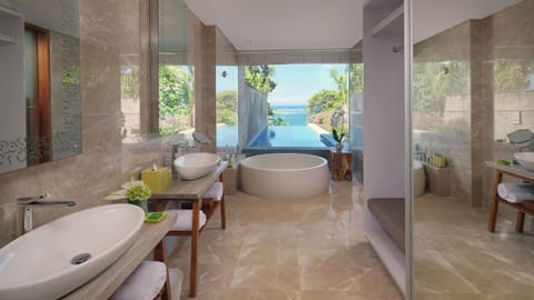 Separate tub and shower, free toiletries, hair dryer, bathrobes