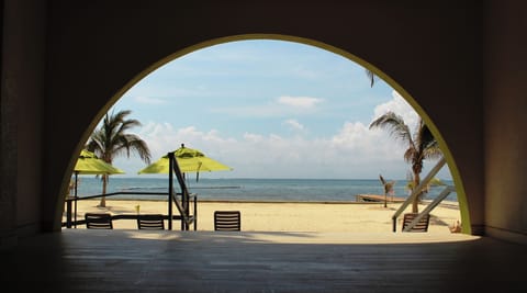 Sun loungers, beach umbrellas, beach towels, scuba diving
