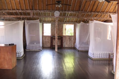 Basic Shared Dormitory, Women only, Non Smoking | Free WiFi