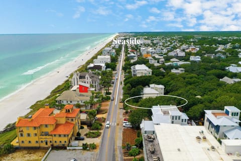 Aerial view of Seaside's charming coastal community featuring pristine beaches, tree-lined streets, and distinctive architecture along the Gulf Coast.