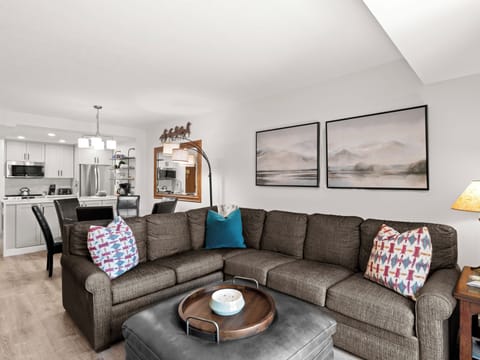 Living Area / Sofa Bed