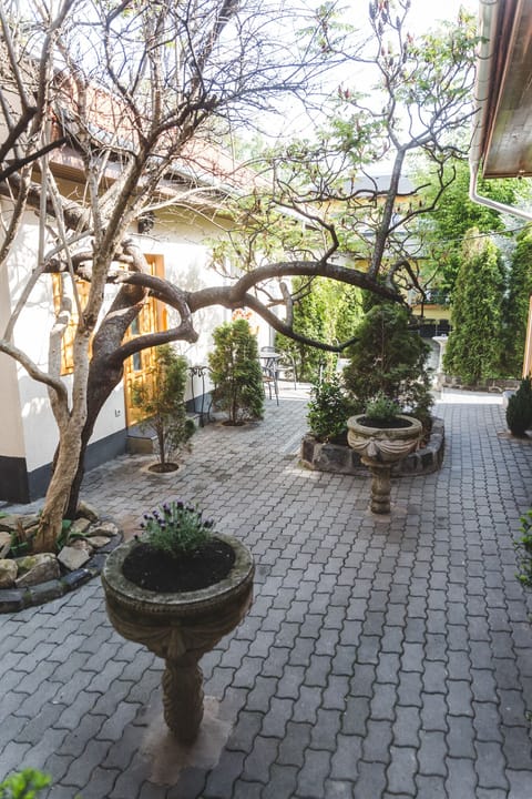 Standard Double or Twin Room | Terrace/patio
