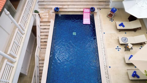 Outdoor pool, sun loungers