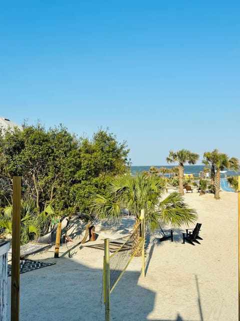 Spectacular backyard leading to the beach with hammocks, volleyball and games