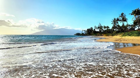 Charley Young Beach just steps from the condo