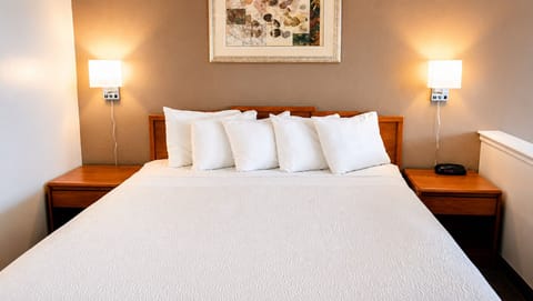Suite, 1 King Bed with Sofa bed | Iron/ironing board, free WiFi, bed sheets, alarm clocks