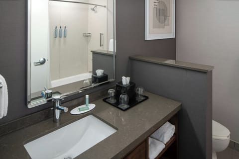 Combined shower/tub, free toiletries, hair dryer, towels