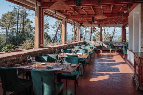 Breakfast, lunch, dinner served; Regional cuisine 