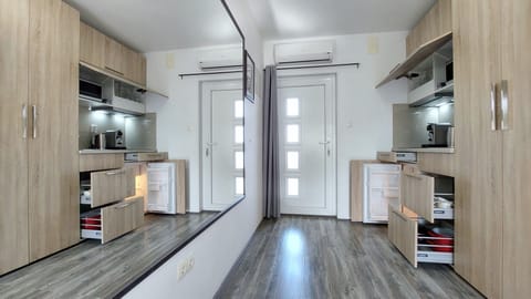 Deluxe Studio, Balcony, Park View | Private kitchenette | Full-size fridge, stovetop, electric kettle, cookware/dishes/utensils