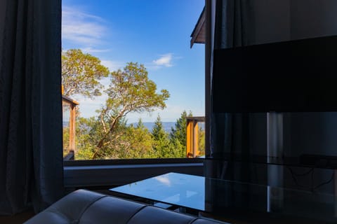 Luxury Suite, 1 Queen Bed, Ocean View, Sea Facing | 1 bedroom, Egyptian cotton sheets, premium bedding, down comforters