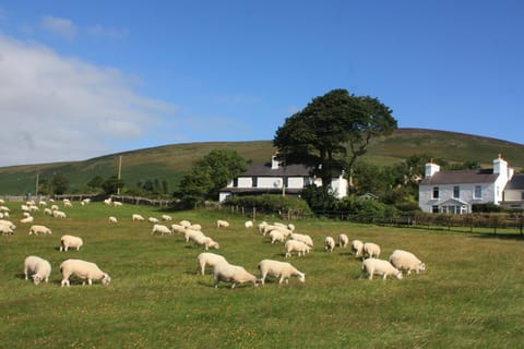 Our home is a rural idyll near Laxey.