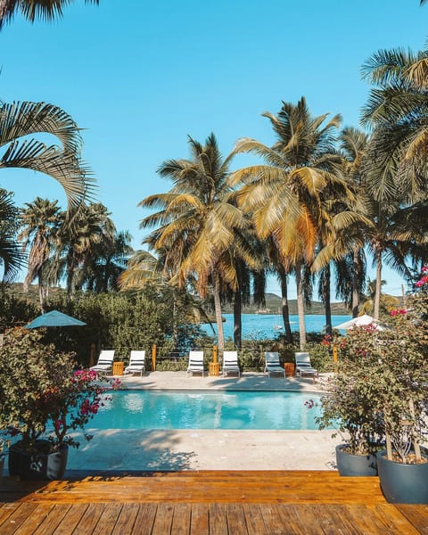 Outdoor pool, sun loungers