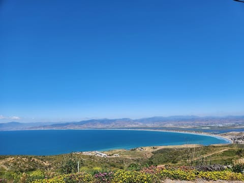 Ensenada Bay and city views!