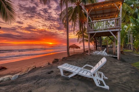 On the beach, black sand, surfing