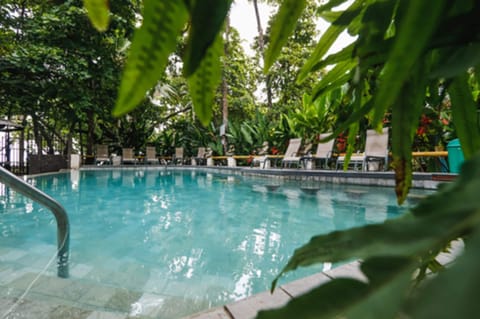 Outdoor pool, sun loungers