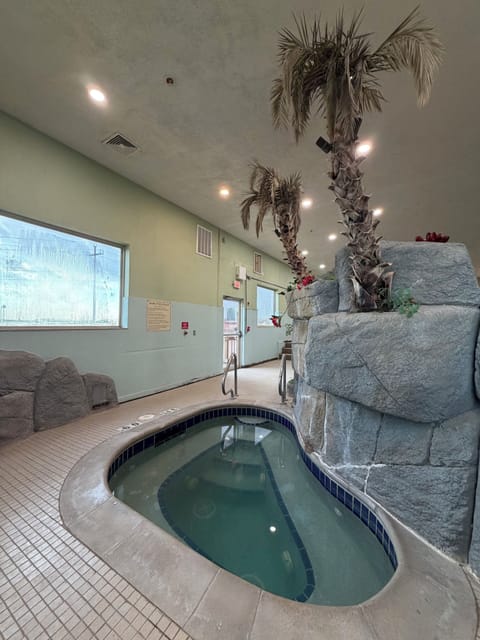 Indoor pool, sun loungers